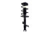 1334057R Suspension Strut and Coil Spring Assembly - image 1