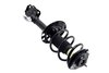 1334057R Suspension Strut and Coil Spring Assembly - image 4