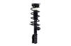 1334058L Suspension Strut and Coil Spring Assembly - image 1