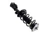 1334058L Suspension Strut and Coil Spring Assembly - image 4