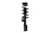1334058R Suspension Strut and Coil Spring Assembly - image 1