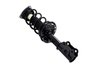 1334058R Suspension Strut and Coil Spring Assembly - image 2