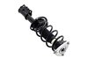1334058R Suspension Strut and Coil Spring Assembly - image 4