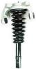 1335532L Suspension Strut and Coil Spring Assembly - image 1