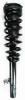 1335543R Suspension Strut and Coil Spring Assembly - image 1