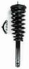 1335556 Suspension Strut and Coil Spring Assembly - image 1