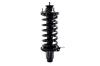 1335557R Suspension Strut and Coil Spring Assembly - image 1