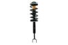 1335562R Suspension Strut and Coil Spring Assembly - image 1