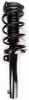 1335576 Suspension Strut and Coil Spring Assembly - image 1