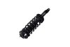1335578 Suspension Strut and Coil Spring Assembly - image 3