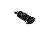 1335578 Suspension Strut and Coil Spring Assembly - image 4