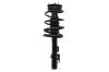 1335588L Suspension Strut and Coil Spring Assembly - image 1