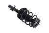 1335588L Suspension Strut and Coil Spring Assembly - image 4