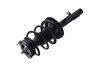 1335588R Suspension Strut and Coil Spring Assembly - image 3