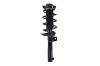 1335594 Suspension Strut and Coil Spring Assembly - image 1