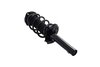 1335594 Suspension Strut and Coil Spring Assembly - image 2