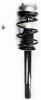 1335599L Suspension Strut and Coil Spring Assembly - image 1