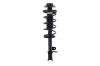 1335604L Suspension Strut and Coil Spring Assembly - image 1