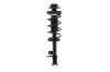 1335604R Suspension Strut and Coil Spring Assembly - image 1