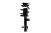 1335615L Suspension Strut and Coil Spring Assembly - image 1