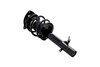 1335615L Suspension Strut and Coil Spring Assembly - image 2
