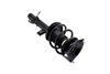 1335615L Suspension Strut and Coil Spring Assembly - image 4