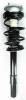 1335632L Suspension Strut and Coil Spring Assembly - image 1