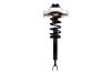 1335661 Suspension Strut and Coil Spring Assembly - image 1