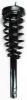 1335664 Suspension Strut and Coil Spring Assembly - image 1