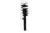 1335684L Suspension Strut and Coil Spring Assembly - image 1