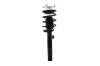 1335684R Suspension Strut and Coil Spring Assembly - image 1