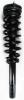 1335790 Suspension Strut and Coil Spring Assembly - image 1