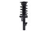 1335804L Suspension Strut and Coil Spring Assembly - image 1