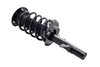 1335804L Suspension Strut and Coil Spring Assembly - image 2