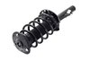 1335804L Suspension Strut and Coil Spring Assembly - image 3