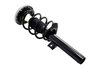 1335825L Suspension Strut and Coil Spring Assembly - image 2