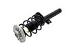 1335825L Suspension Strut and Coil Spring Assembly - image 3