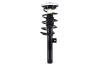 1335825R Suspension Strut and Coil Spring Assembly - image 1