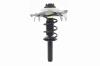 1335831L Suspension Strut and Coil Spring Assembly - image 1