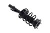1335848L Suspension Strut and Coil Spring Assembly - image 4