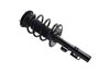 1335848R Suspension Strut and Coil Spring Assembly - image 2