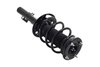 1335848R Suspension Strut and Coil Spring Assembly - image 4