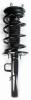 1335876R Suspension Strut and Coil Spring Assembly - image 1