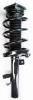 1335877L Suspension Strut and Coil Spring Assembly - image 1