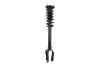 1335883L Suspension Strut and Coil Spring Assembly - image 1