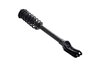 1335883L Suspension Strut and Coil Spring Assembly - image 2