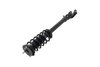 1335883L Suspension Strut and Coil Spring Assembly - image 3