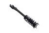 1335883L Suspension Strut and Coil Spring Assembly - image 4