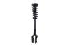 1335883R Suspension Strut and Coil Spring Assembly - image 1