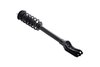 1335883R Suspension Strut and Coil Spring Assembly - image 2